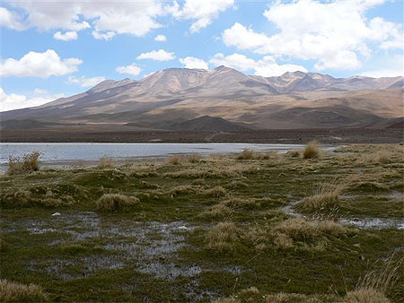 Lagune de l'altiplano