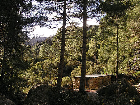 Bergerie sur le Tavignano