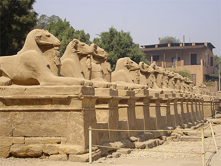 All�e de Sphinx � t�te de b�lier