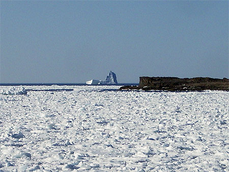 Iceberg