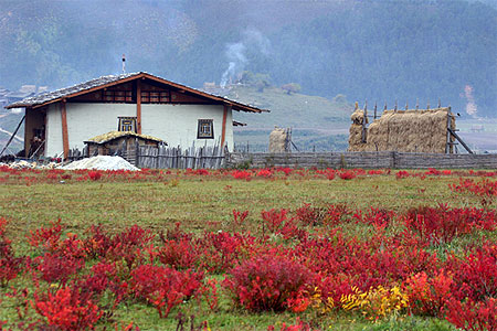 Yunnan