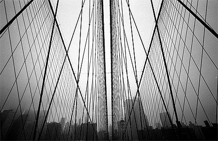 Brooklyn grafik