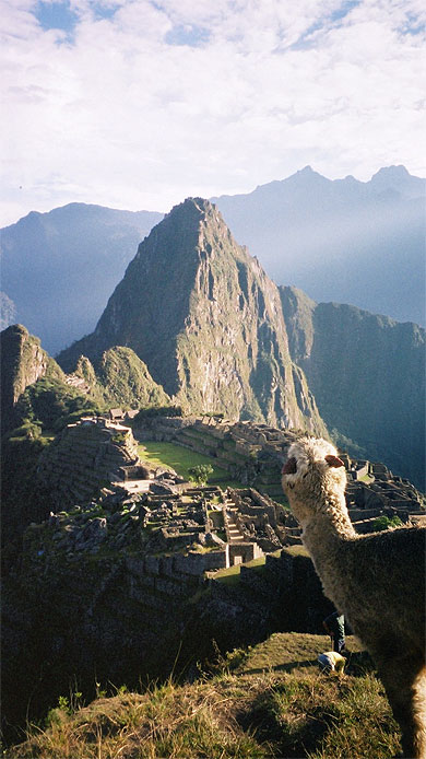 Machu Picchu