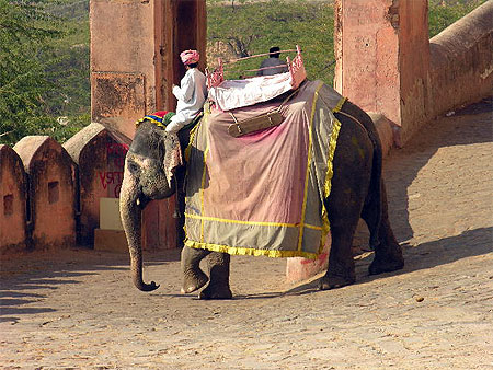 Taxi �l�phant