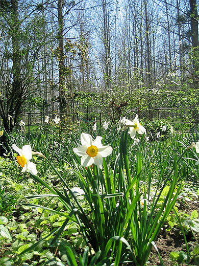 Easter � Giverny