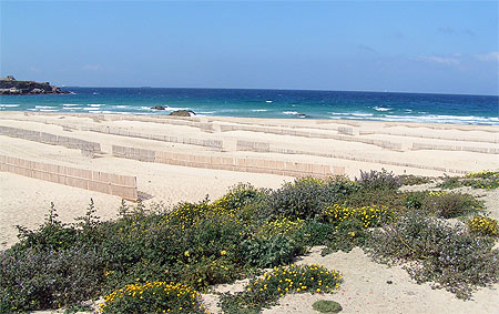 Tarifa