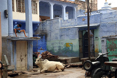 Ville bleue de Jodhpur