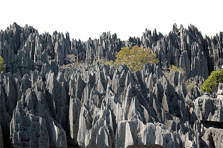 Tsingys du bemara