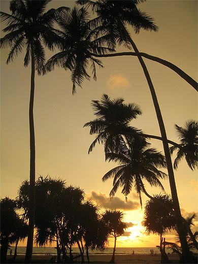 Coucher de soleil sur la plage de Bentota