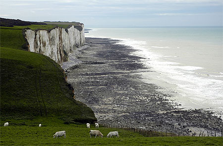 Falaise