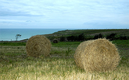 Meules de foin en bord de mer
