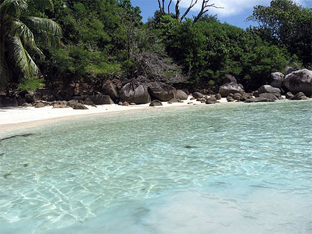 Plage �le aux cerfs