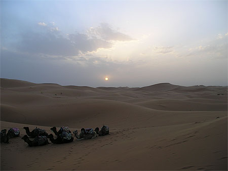 Merzouga