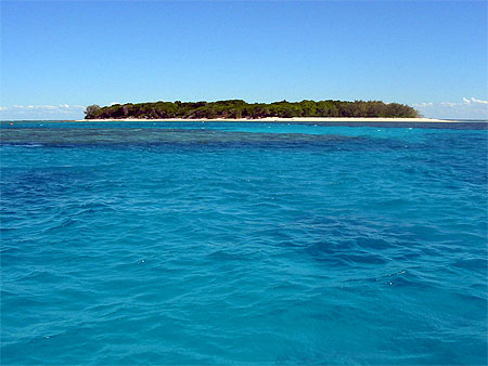 Lady Musgrave Island