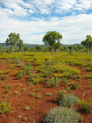 Karijini National Park