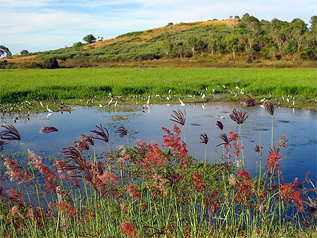 En route vers Kakadu National Park