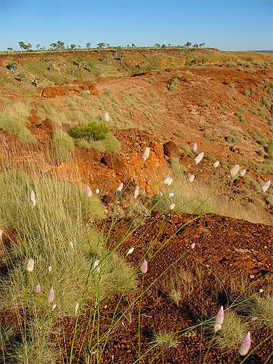 Sur le route de Fitzroy Crossing � Halls creek