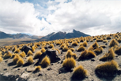 Bolivia