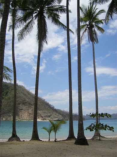 Isla Tortuga