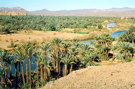Vall�e du Draa