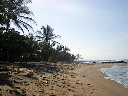 Playa Cocles