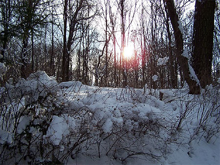 Soleil couchant