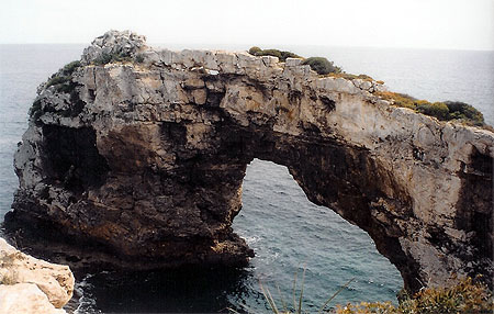 Falaise