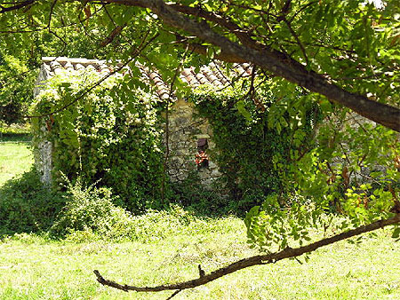 Cabanon en pierres s�ches
