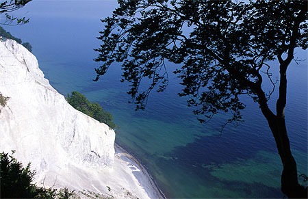 Falaise de craie dans l'�le de Mon