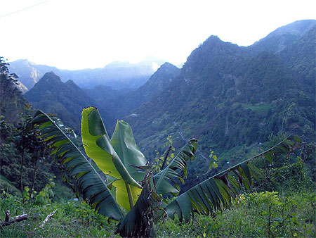 Sur les routes de montagne entre Faial et Ribeiro Frio