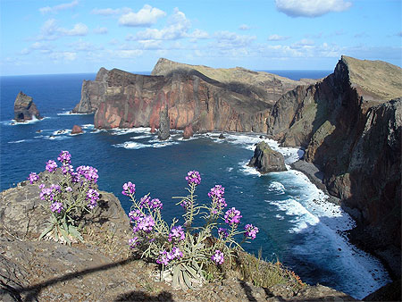 Ponta do Castelo