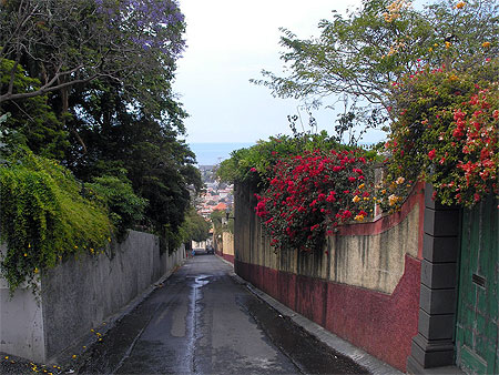 Hauteurs de Funchal