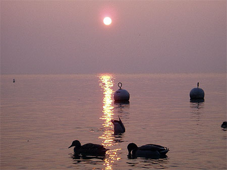 Sunset in Geneva