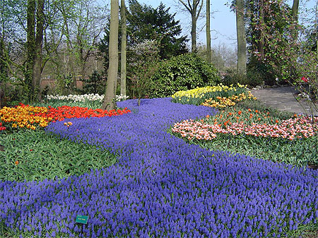 Jardins du Keukenhof