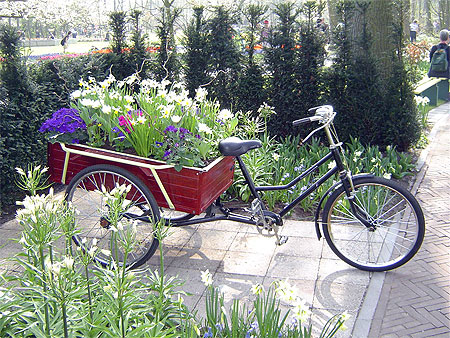Keukenhof