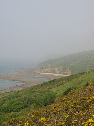 La c�te d�coup�e au brouillard