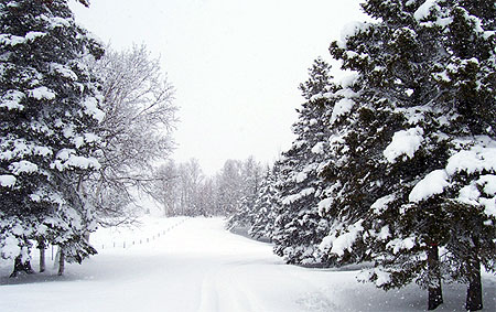 Tadoussac sous la neige