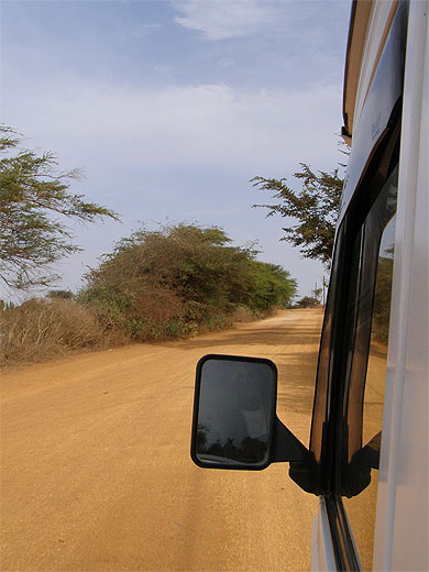 Dans la brousse, r�serve du djoudj