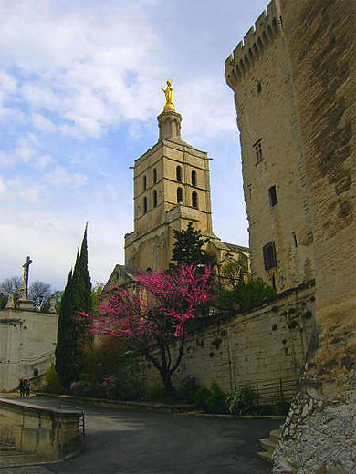 Avignon
