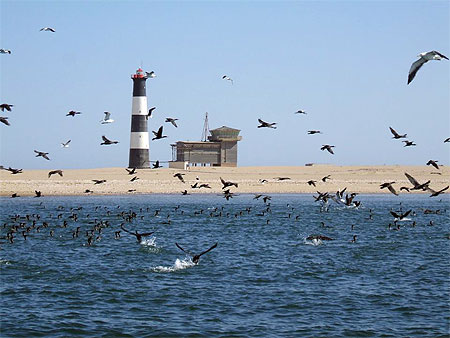Au large de Walvis Bay