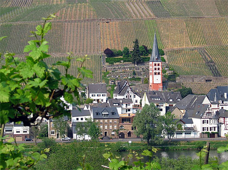 Le long de la Moselle