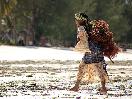 Femme sur plage de Kiwengwa