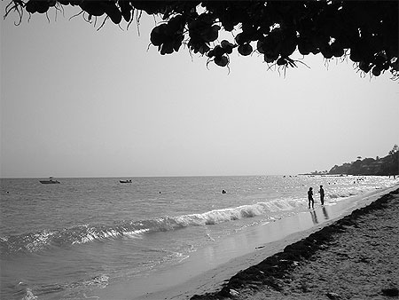 Plage de gosier