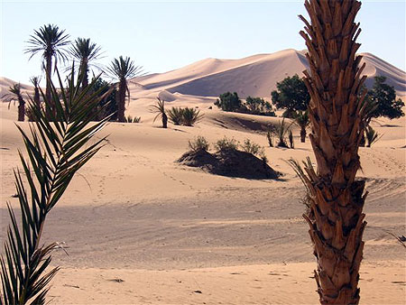 Dunes