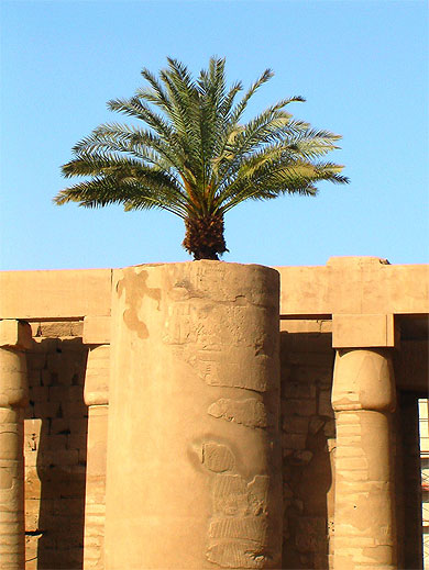 "Salle des F�tes" de Thoutmousis II � Karnak