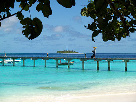 Arriv�e au paradis