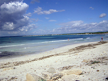 Sable blanc et dunes
