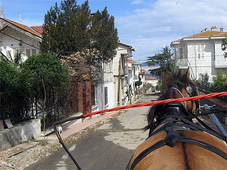 Balade sur la cal�che