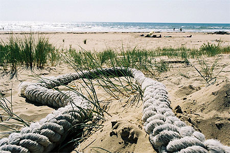 Cordage sur la c�te sauvage