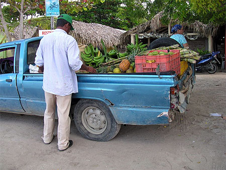 Marchand ambulant de fruit